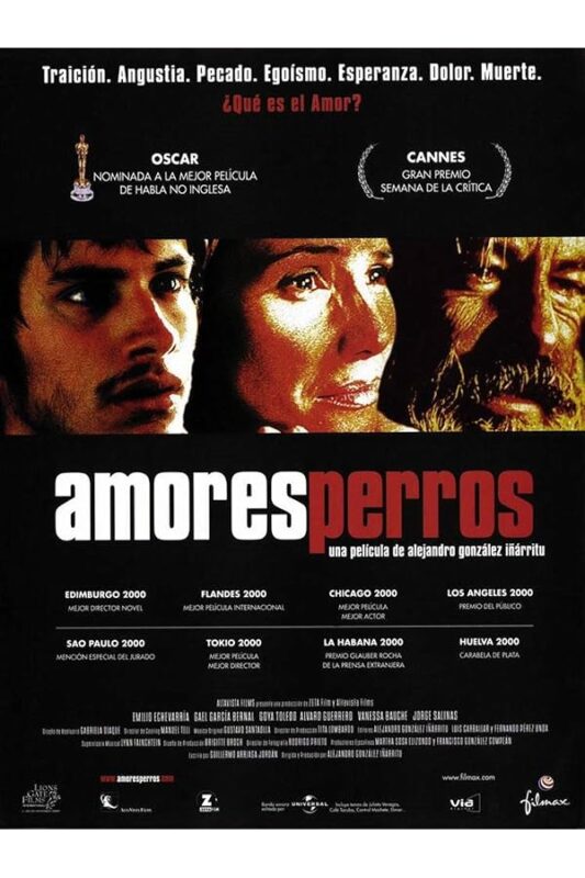 Amores perros