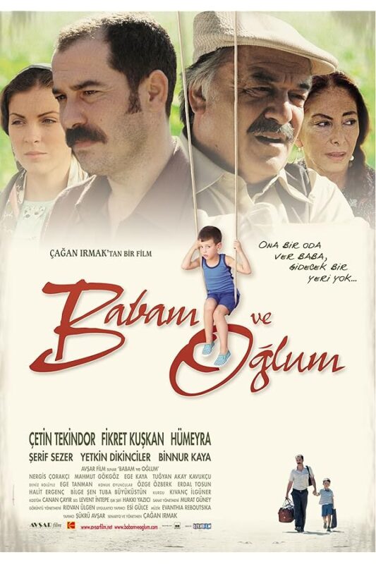 Boy on swing in family portrait poster