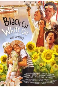 Crna macka, beli macor