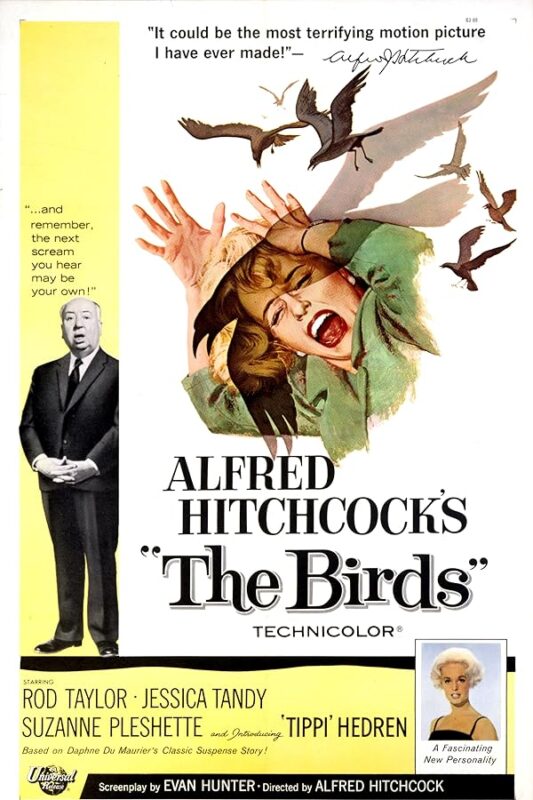 Vintage movie poster: woman screaming, birds
